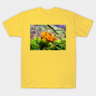 An Autumn leaf in the forest T-Shirt